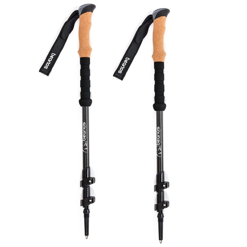 Best Hiking Poles Expert’s Buying Advice and Top Picks Reviews