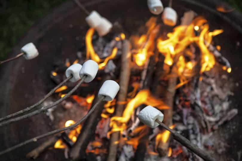 Closeup of a multitude of marshmallows being roasted around a fire pit.