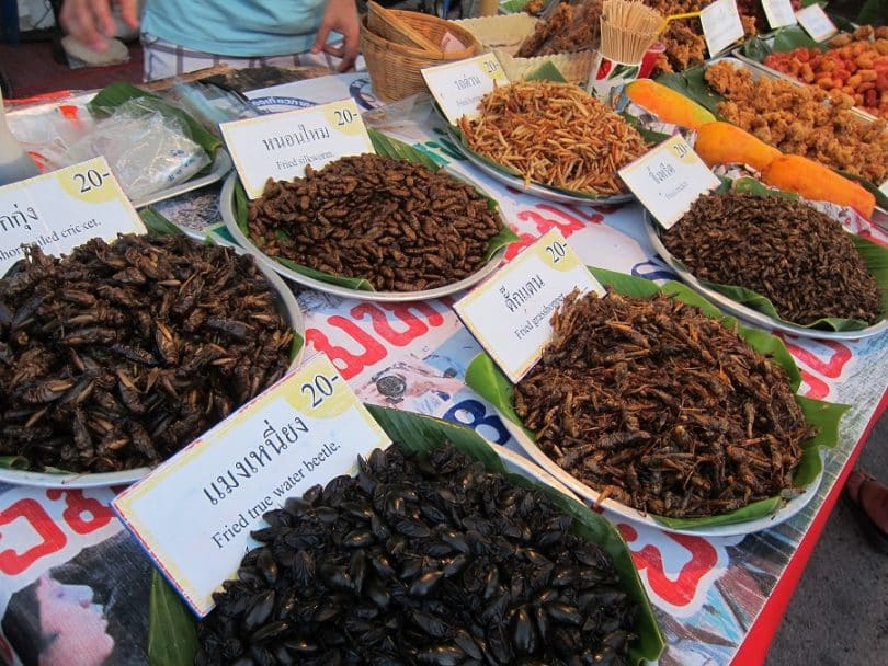 edible insects at the market