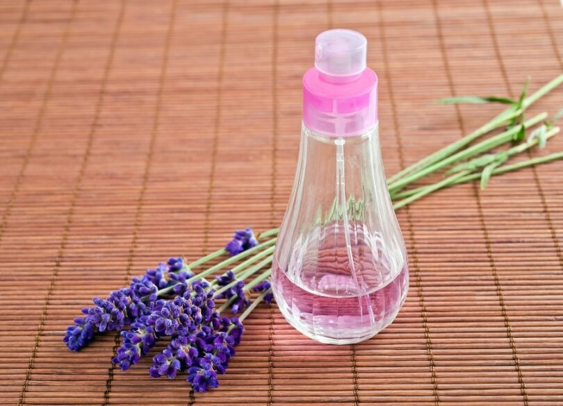 Make your Homemade Insect Repellent