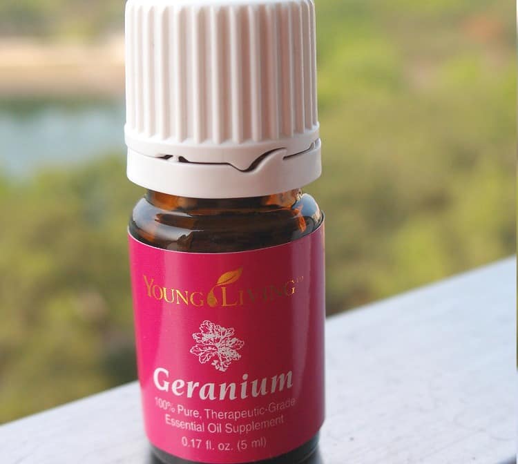 Rose Geranium oil