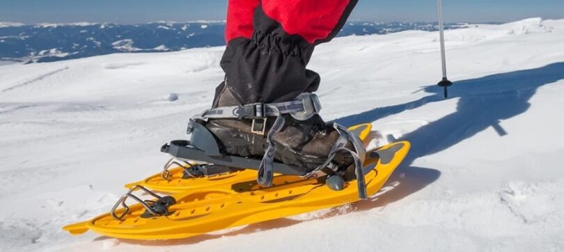 What Type of Snowshoes to Choose