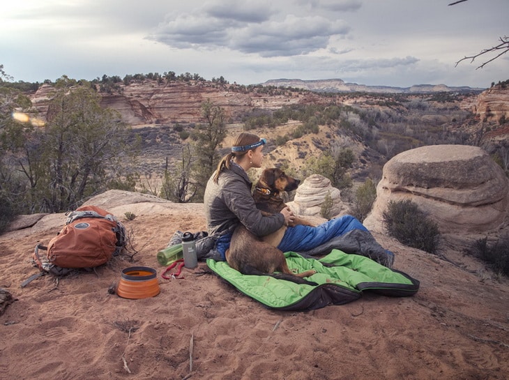 a picture of a woman and her dog watching the landscape