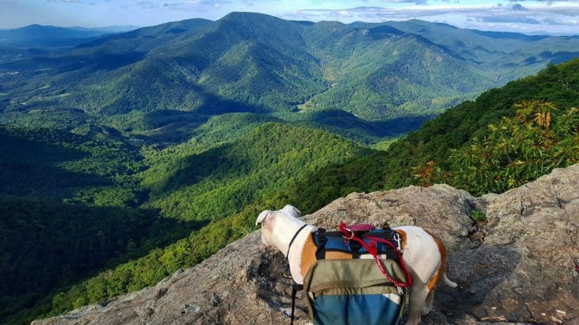 How to Thru Hike the Appalachian Trail