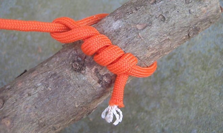 Image showing a Timber Hitch