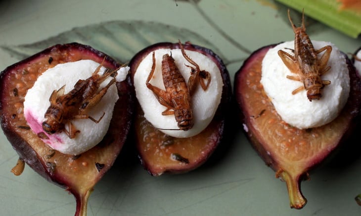 Figs with goat cheese and crickets