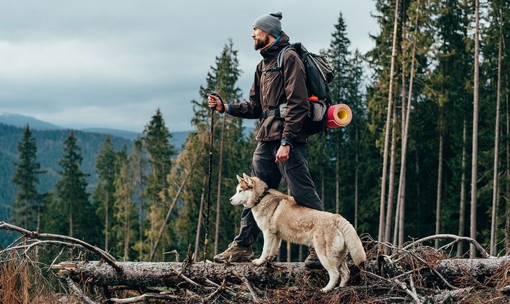 Hiker and a siberian husky dog