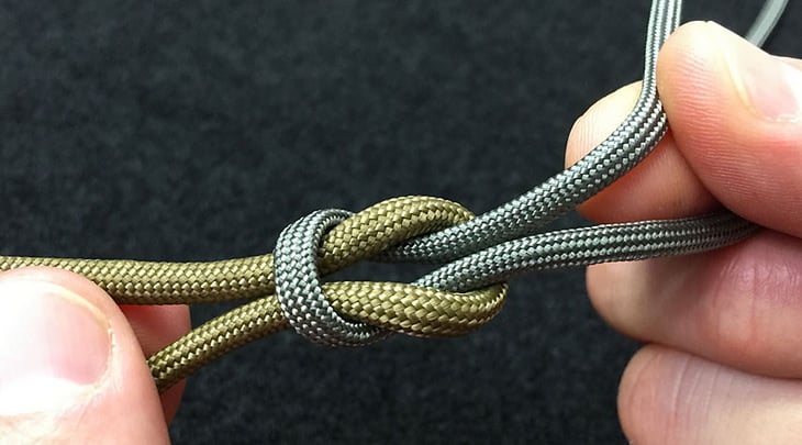 Image of a Thief Knot