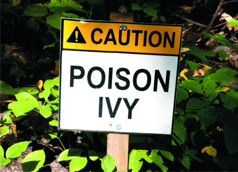 caution-poison-ivy