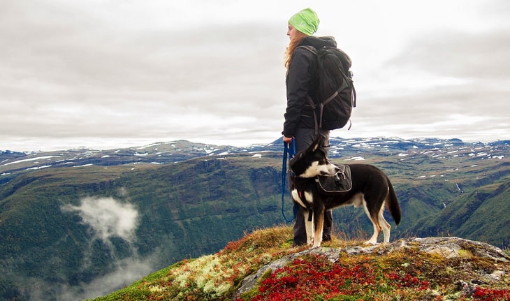 hiker with her dog on top of mountains