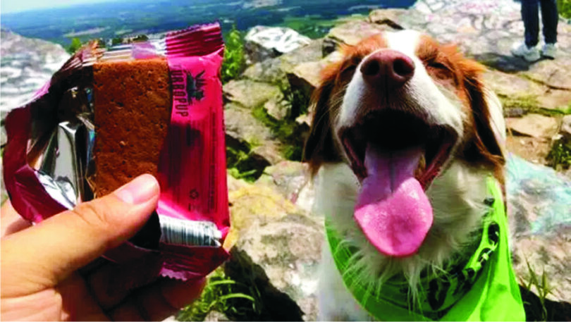 hiking-dog-food