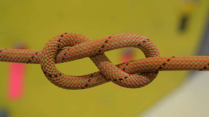 Image showing Figure 8 Knot