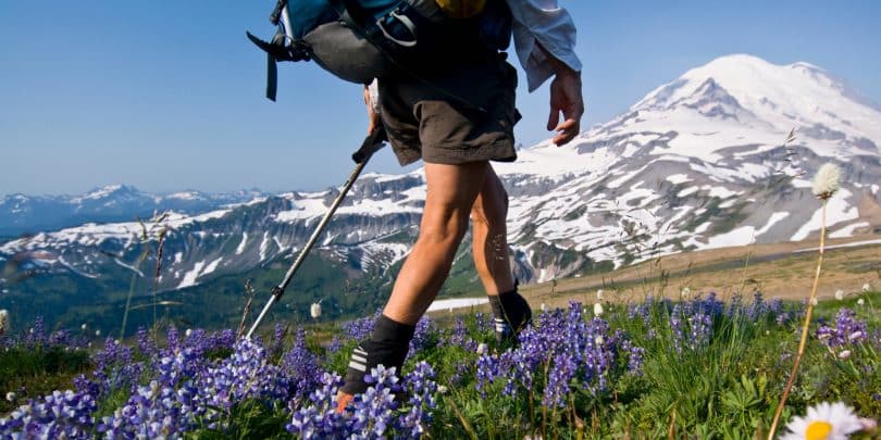 Female backpacker on Cowlitz Divide, Mount Rainier National Park, Washington, USA