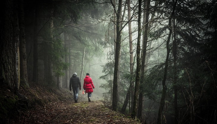 Two people hiking in forest