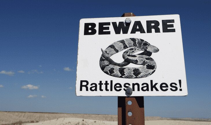 Beware rattlesnake sign