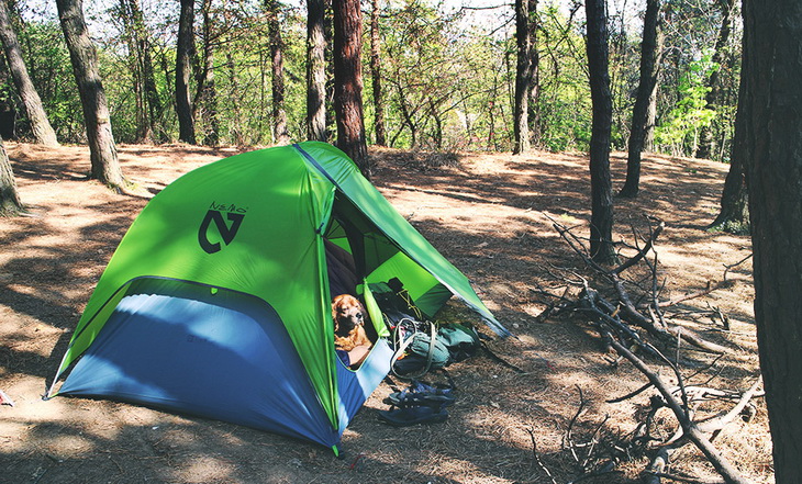 A dog in Nemo Hornet 2P tent in the forest