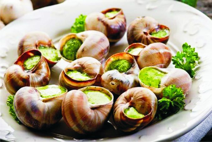 Edible Snails: When You Don’t Want Fast Food - Hiking Tips And Advice