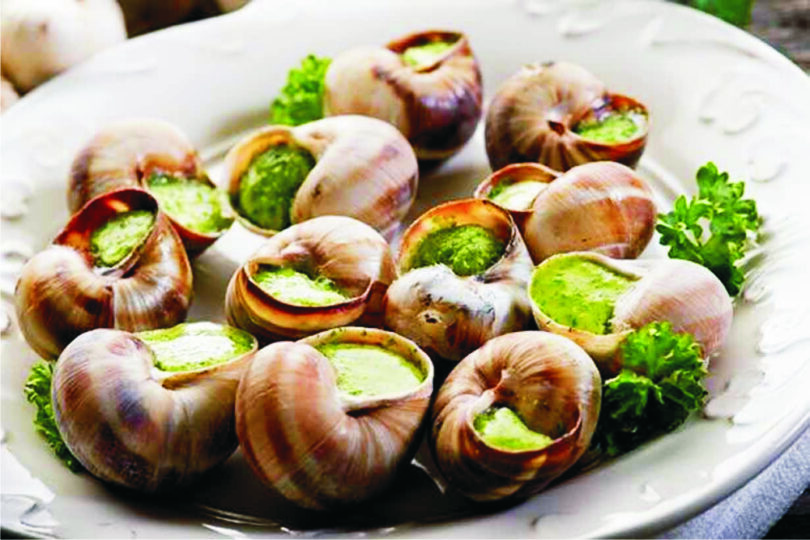Edible Snails