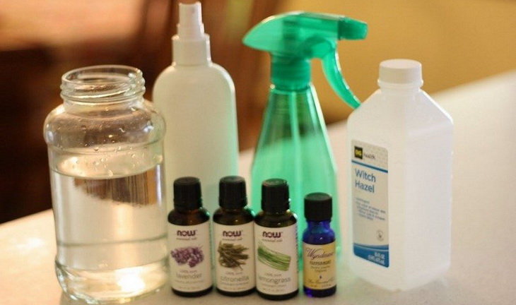 Ingredients for Homemade Mosquito Repellant