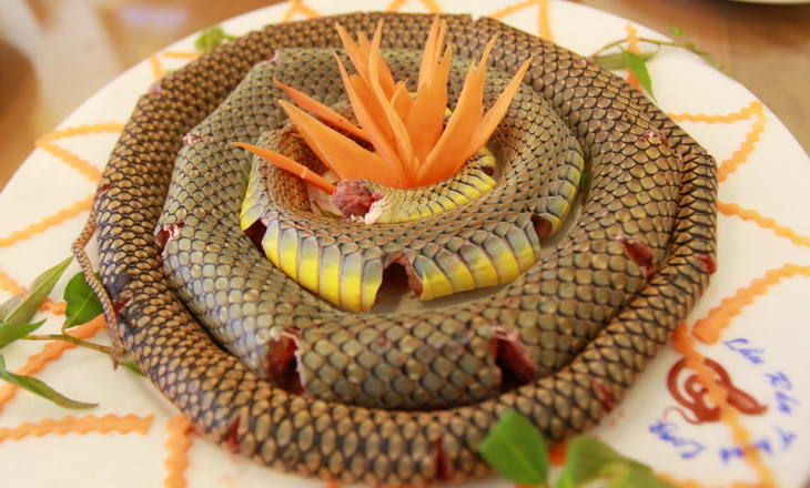 Snake on a plate on the table