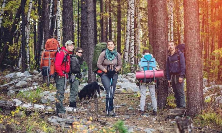 Group of hikers in the forest