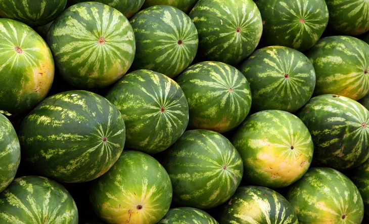 Close-up of watermelons