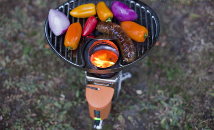 Barbeque on BioLite Wood stove