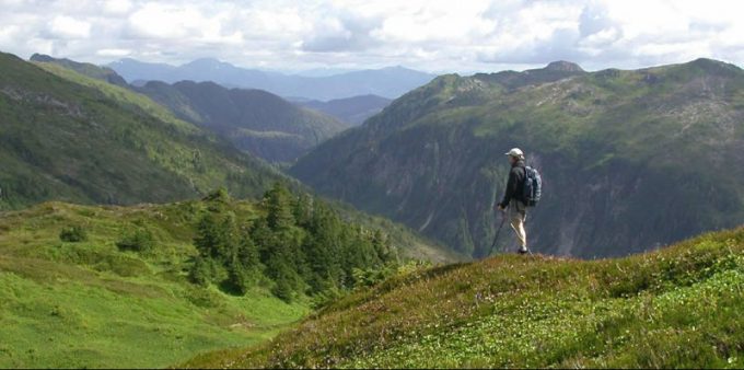 hiker in tongass national forest