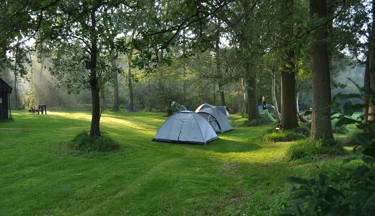 tents in a camping area