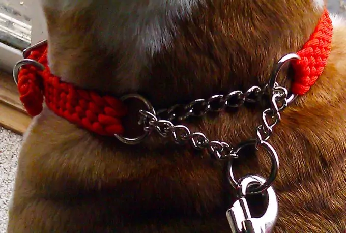 paracord as dog collar