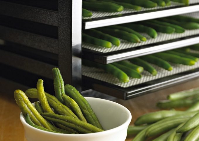 vertical air flow on food dehydrator