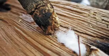fire starting tips