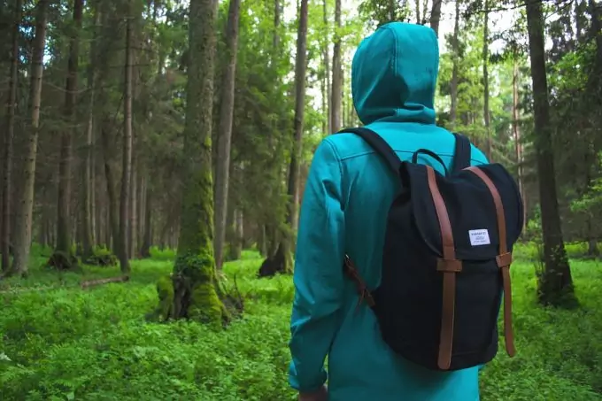 Nature Adventure Leaves Hike Man Backpack Forest