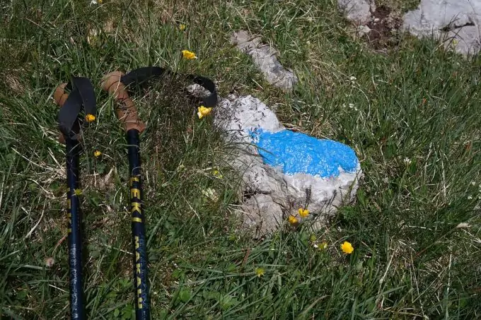 hiking poles laid on ground