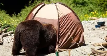 CAMPING SAFETY