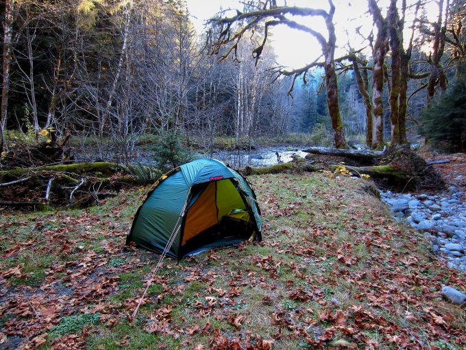 camping tent in the forest