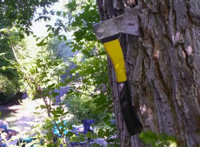 camping hatchet in tree