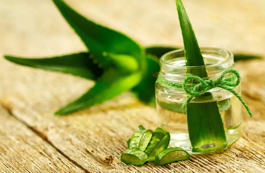 Aloe Vera Remedy