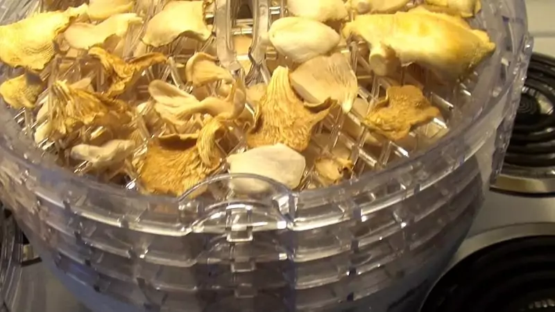 Drying the mushrooms