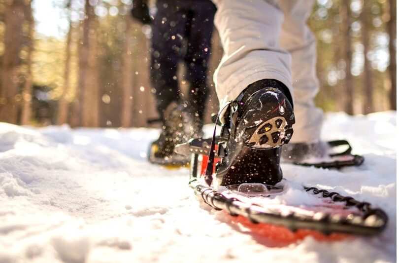 Best Snowshoes for Beginners