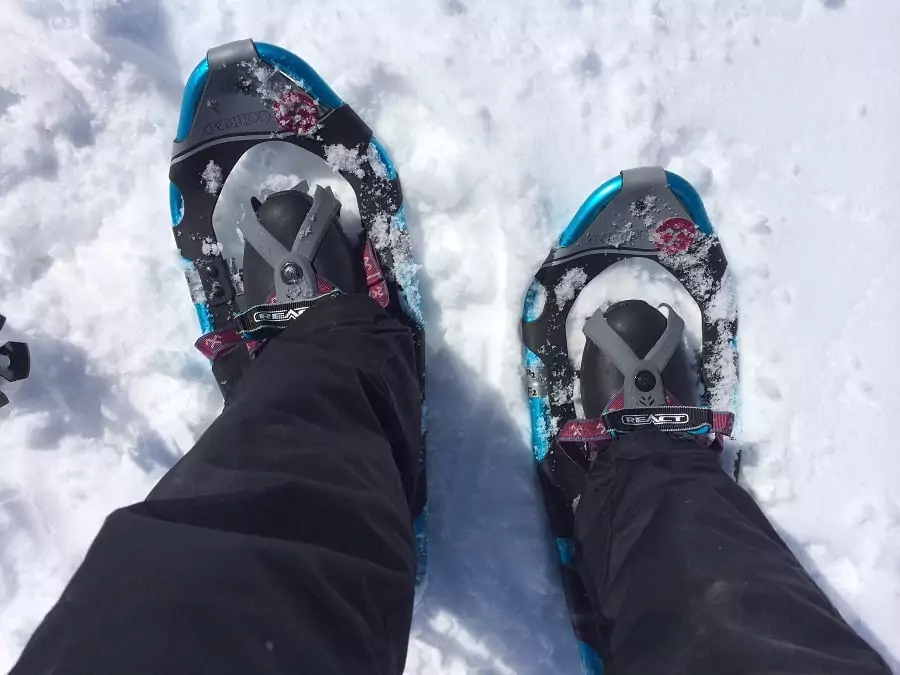 Backcountry snowshoes