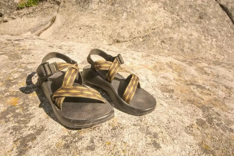 Hiking Sandals