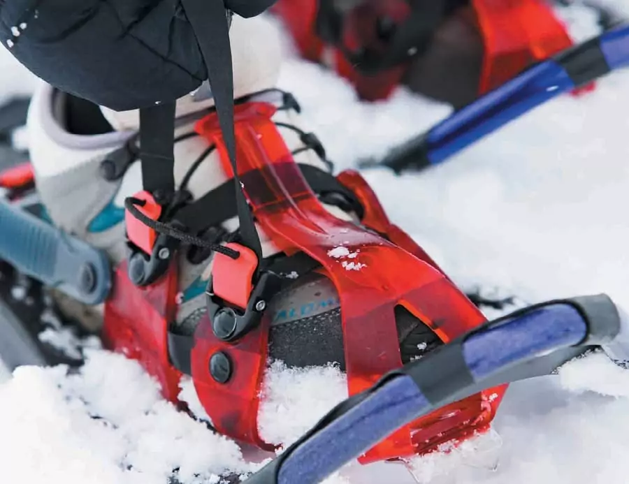 Snowshoes bindings