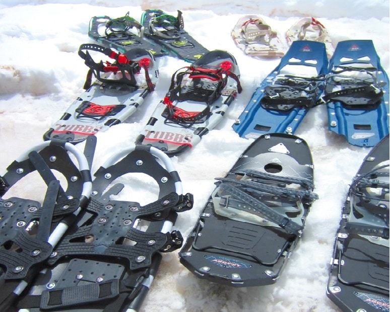 Snowshoes on the snow
