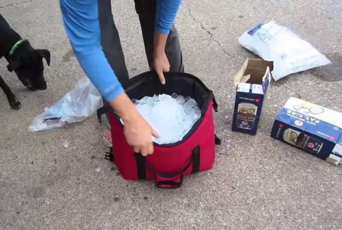 ice in cooler bag