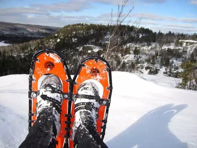 Image showing biding on snowshoes