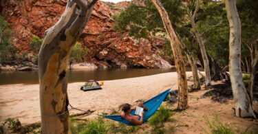 A man reading a book in a hammock