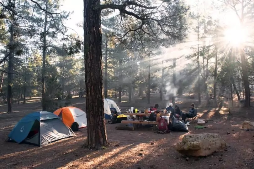 Group of People Camping on Forest during Daytime