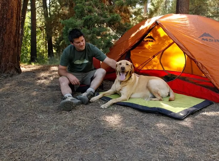 a photo of a bachelor pad dog bed on a camping trip