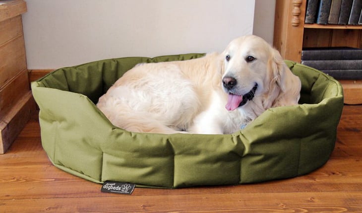 a picture of a dog getting rest on a dog basket